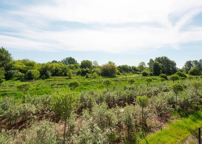Flatbook - Seaside Przystan Letnica *